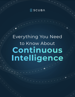 Continuous Intelligence